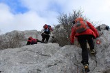 13. Ima pentranja